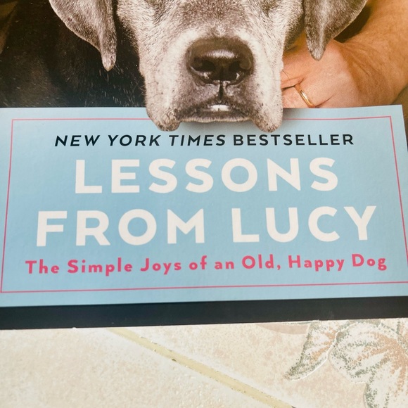 “Lessons from Lucy” Soft Cover Book by Dave Barry - Picture 3 of 9